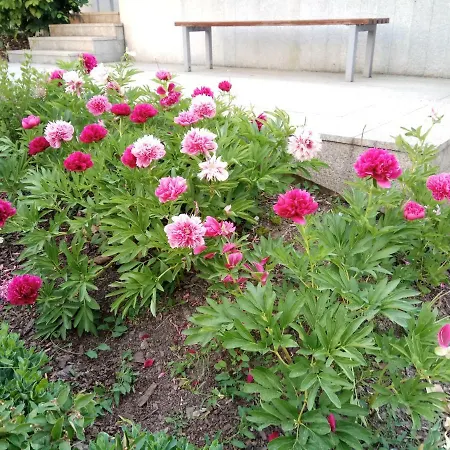 Appartamento M&r Airport&business Marina Mokotow - 4 People - Parking - Fast Wifi - Netflix - Self Check-in - Terrace - Guarded Estate - 6 Min From Chopin Airport *