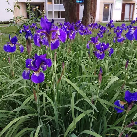 M&r Airport&business Marina Mokotow - 4 People - Parking - Fast Wifi - Netflix - Self Check-in - Terrace - Guarded Estate - Gramophone - 6 Min From Chopin Airport Appartement