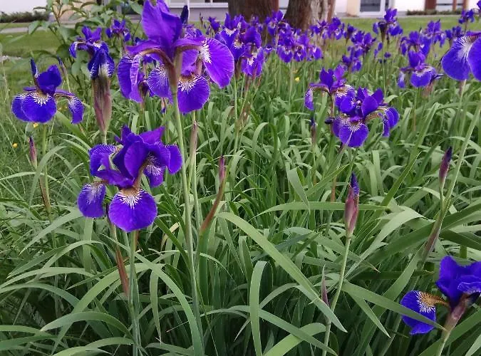 M&r Apartament: Airport-adjacent Business With Terrace Apartment