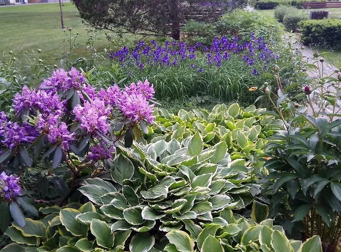 M&r Apartament: Airport-adjacent Business With Terrace Warsaw