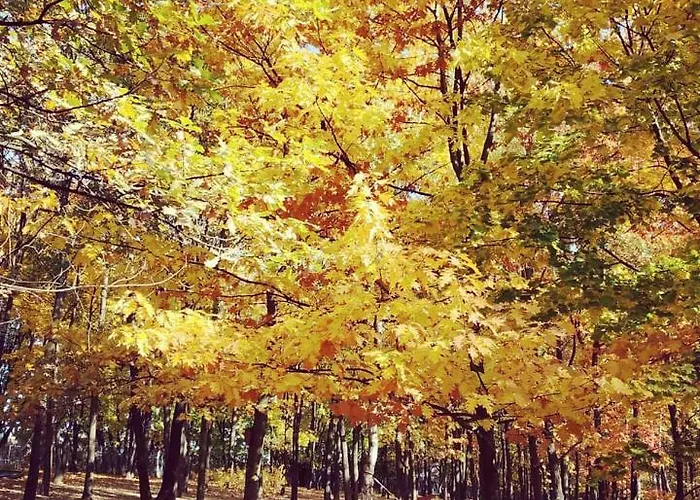 M&r Apartament: Airport-adjacent Business With Terrace Warsaw