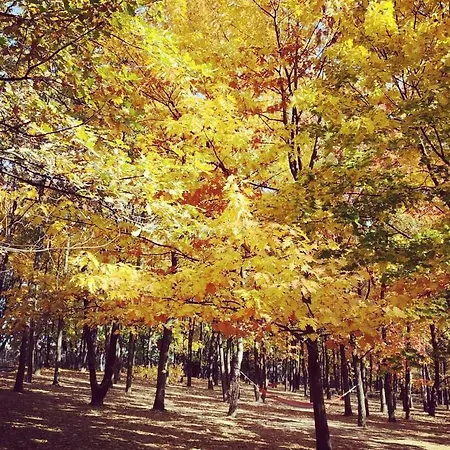 M&r Airport&business Marina Mokotow - 4 People - Parking - Fast Wifi - Netflix - Self Check-in - Terrace - Guarded Estate - 6 Min From Chopin Airport Varsó